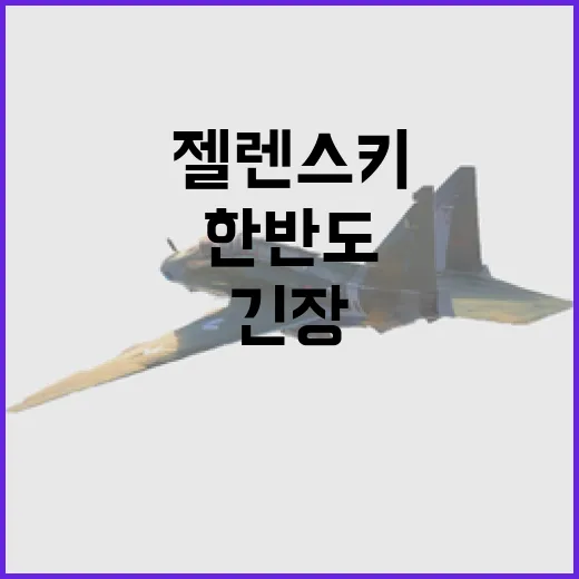 젤렌스키 한반도 긴…