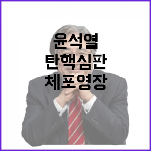 윤석열 탄핵 심판 …