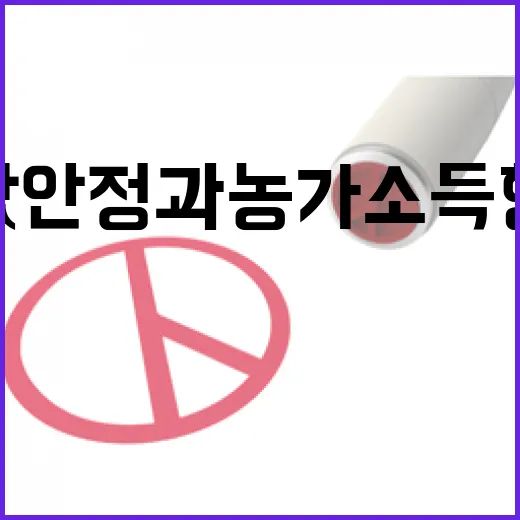 벼 재배지 감축 쌀…