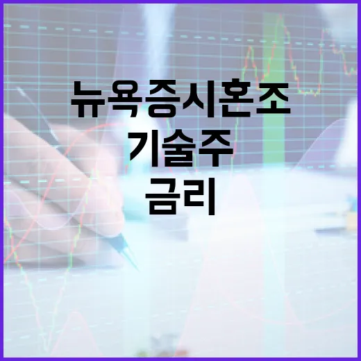 뉴욕증시 혼조 금리…