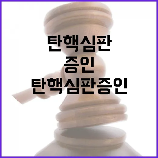 탄핵심판 증인 신청…