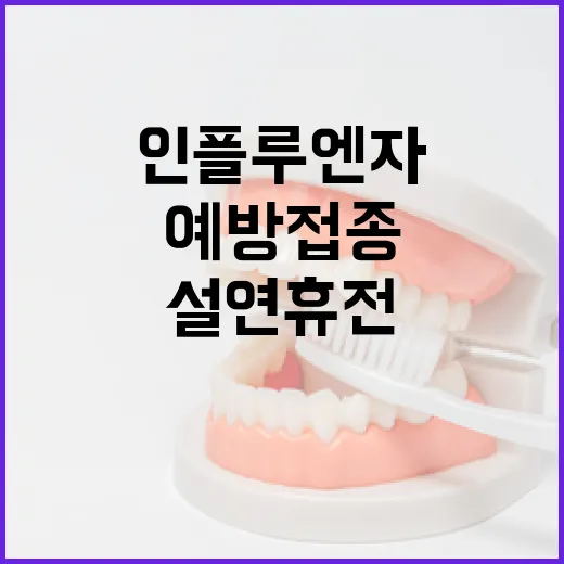 인플루엔자 예방접종…