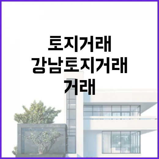 강남 토지 거래 자…