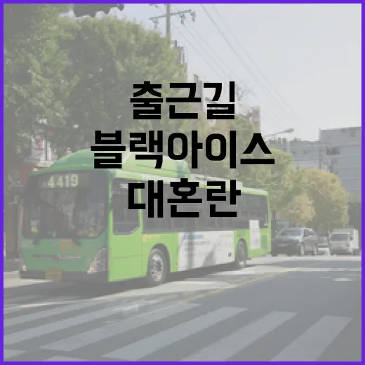 블랙아이스 대혼란 …