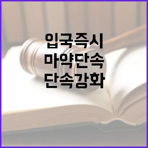 마약 단속 강화 입…