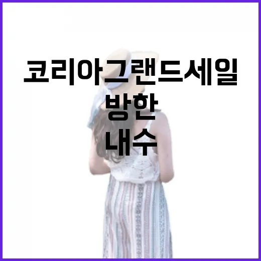 코리아그랜드세일 방…