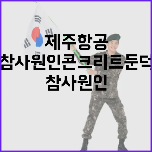 제주항공 참사 원인…