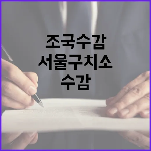 윤석열 조사 조국 …