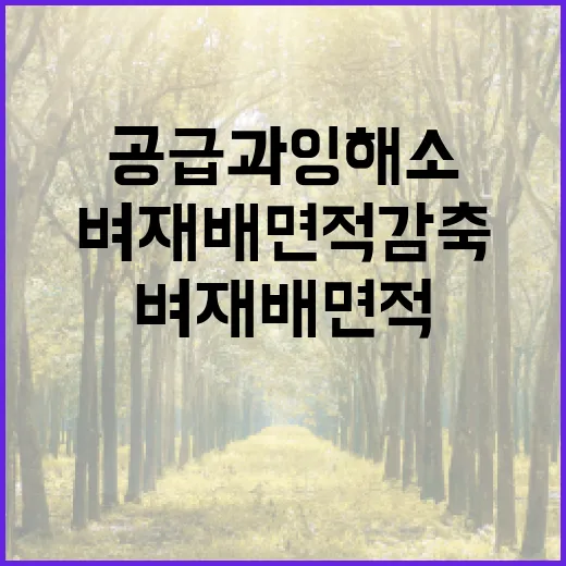 가루쌀 대란? 농식…