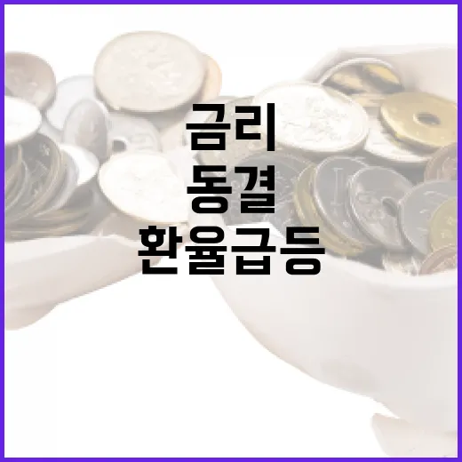 환율 급등 금리 동…