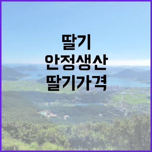 딸기 가격 안정 생…