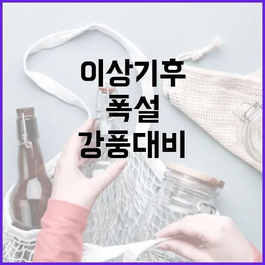 이상기후 경고 폭설…