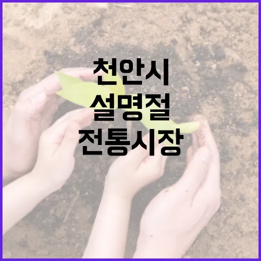 천안시 전통시장 설…