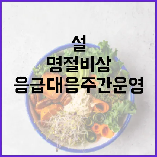 명절 비상 설 연휴…