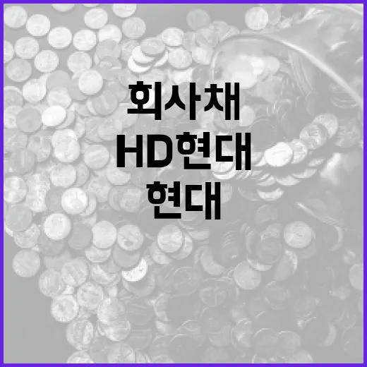 HD현대케미칼 회사…