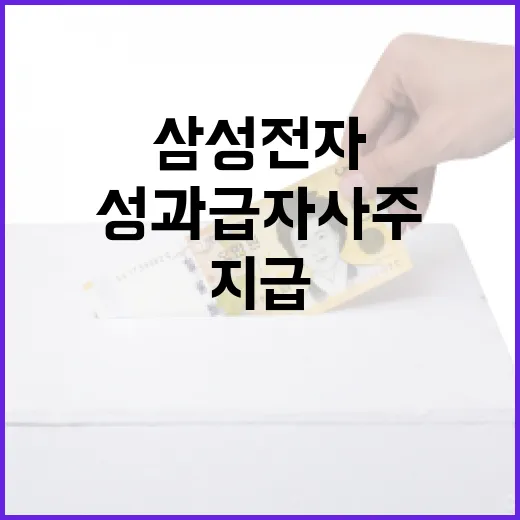 솔레어 윤이나 후원…