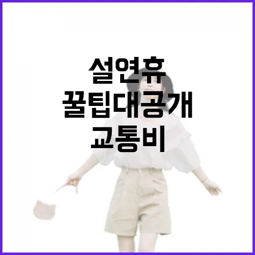 설 연휴 교통비 절…