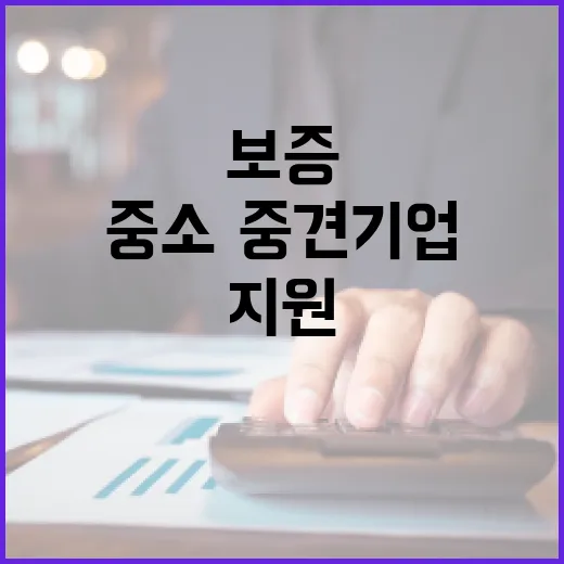 대출 보증 중소·중…