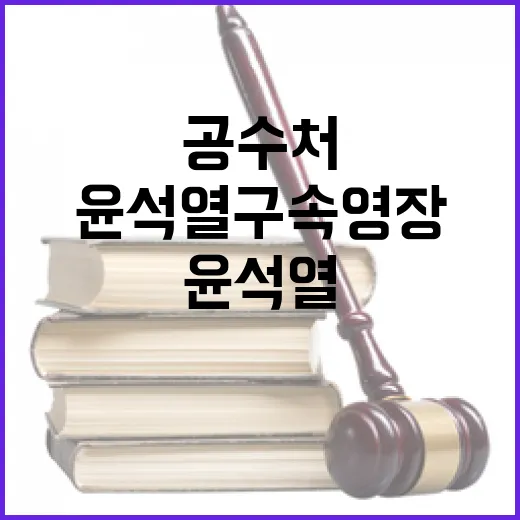 공수처 결정 윤석열…