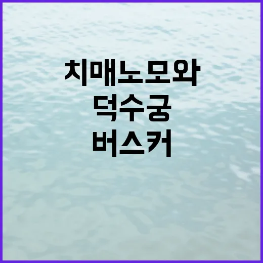 치매 노모와 버스커…