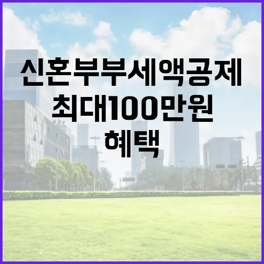 신혼부부 세액공제 …