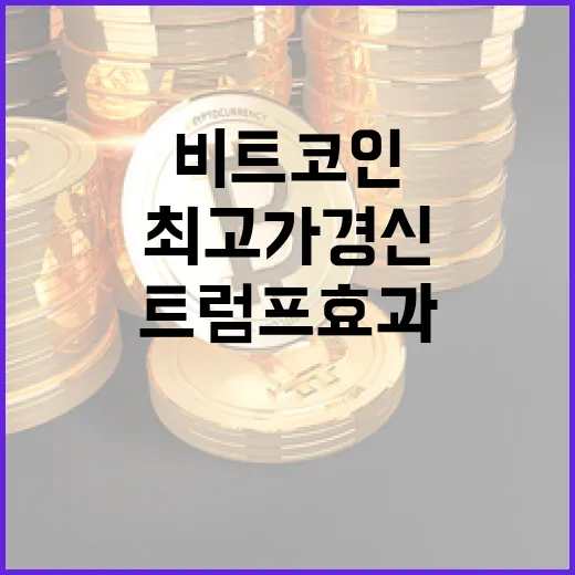 비트코인 트럼프 효…