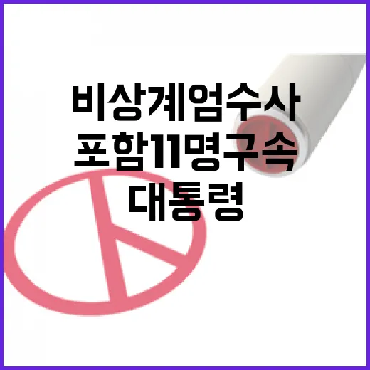 비상계엄 수사 대통령 포함 11명 구속!