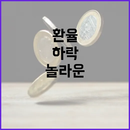 환율 급락 놀라운 …