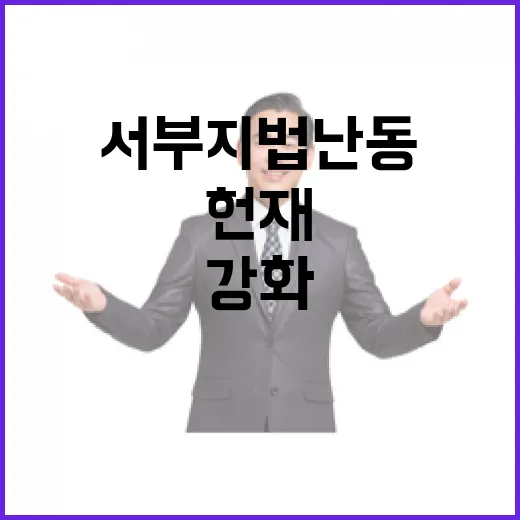 서부지법 난동 헌재…