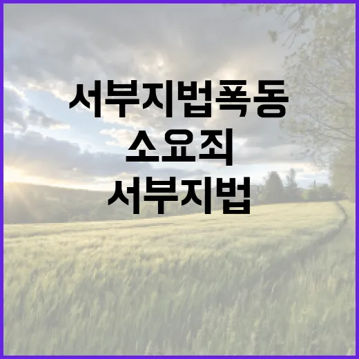 서부지법 폭동 소요…