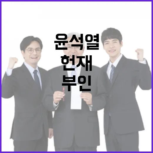 윤석열 헌재 혐의 …