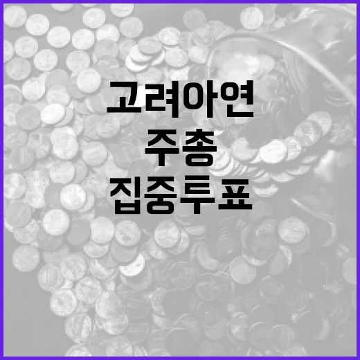 고려아연 주총 집중…