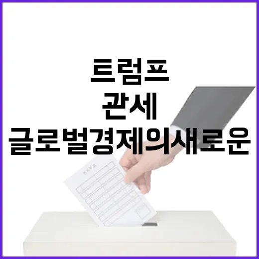 트럼프 관세 계획 …