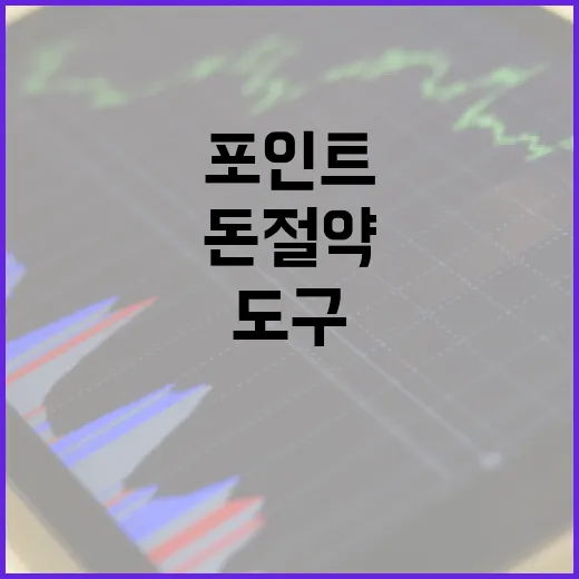 적립식 포인트 돈 …