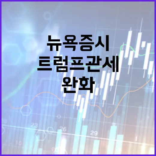 트럼프 관세 완화 …