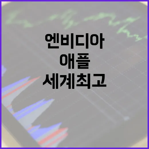 엔비디아 세계 최고…