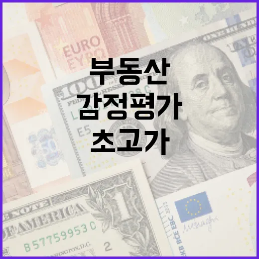 초고가 부동산 새로…