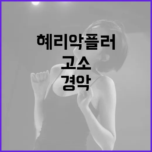 혜리 악플러 형사 …