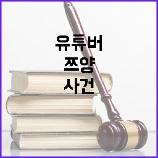 쯔양 사건 유명 유…