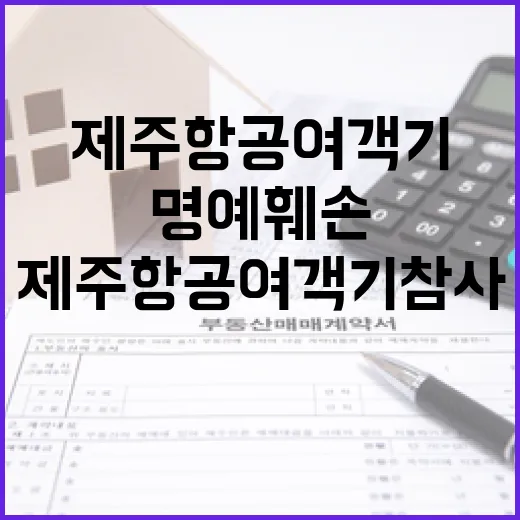 제주항공 여객기 참…