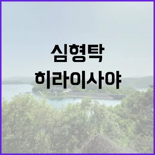 심형탁·히라이 사야…