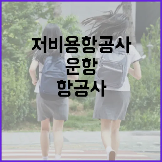 저비용항공사 운항증…