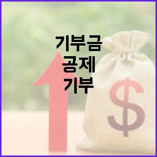 기부금 공제 기부천…