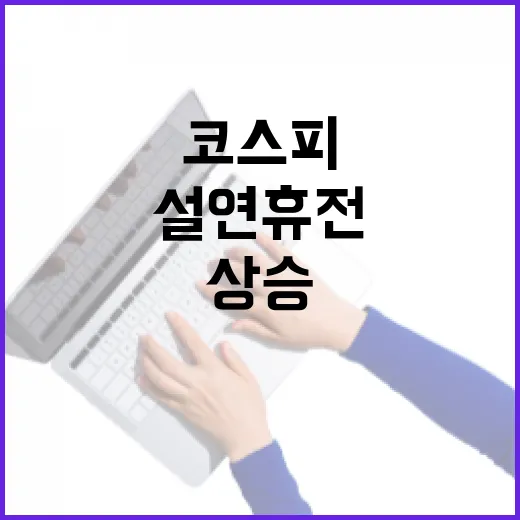 코스피 상승 투자자…