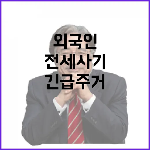 전세사기 외국인 지…