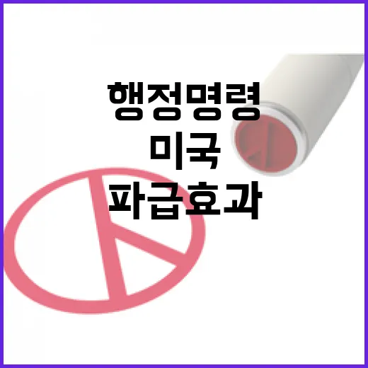 미국 행정명령 파급…