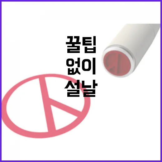 설날 안전 꿀팁 온…