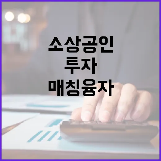 투자 매칭융자 소상…