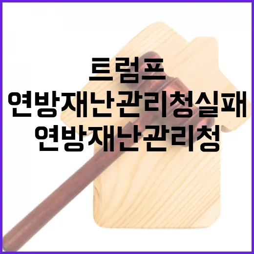 트럼프 비판 연방재난관리청 실패 주장!