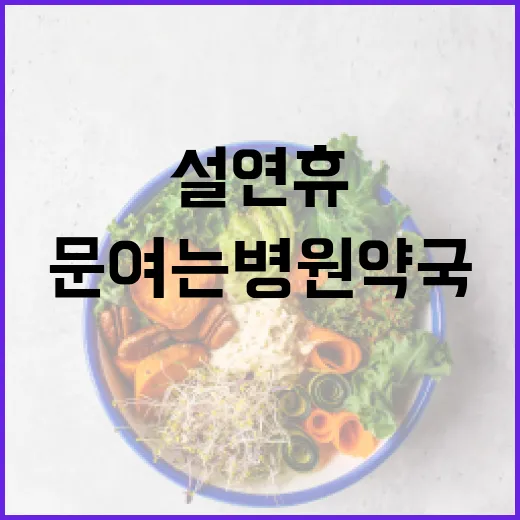 설 연휴 필수 정보…